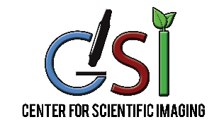 logo-csi.png