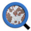 logo-qupath.jpg